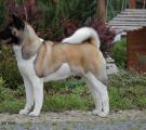 DSC_0872 kopie.jpg